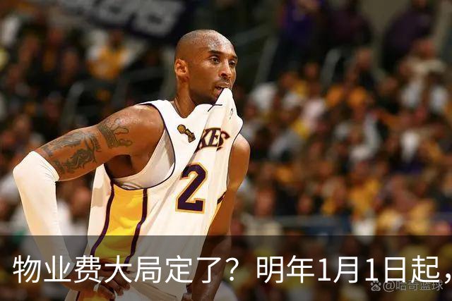 物业费大局定了?明年1月1日起,物业费很大可能迎来4大变化