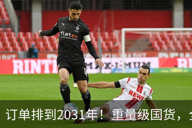 订单排到2031年！重量级国货，全球爆单